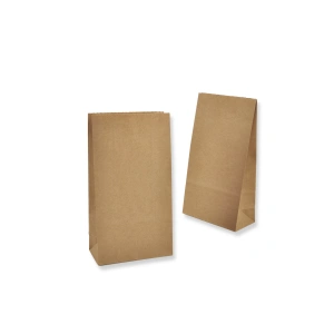 Square bottom paper bags 12+6/22
