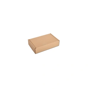 Cardboard Courier boxes 12х8х3
