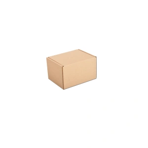 Cardboard Courier boxes 12х10х8