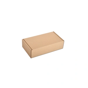 Cardboard Courier boxes 18x10x5