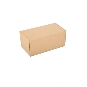 Cardboard Courier boxes 20x10x10