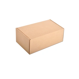 Cardboard Courier boxes 21.5x15.5x10