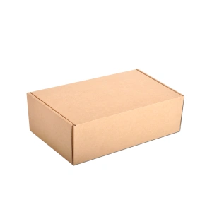 Cardboard Courier boxes 25x15x10
