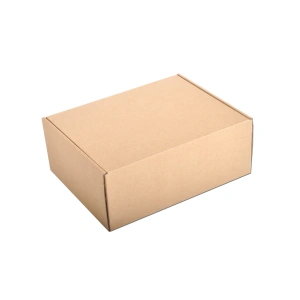 Cardboard Courier boxes 25x20x10