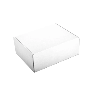 Cardboard Courier boxes 25x20x10