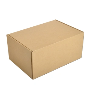 Cardboard Courier boxes 31x22x15