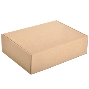 Cardboard Courier boxes 35x25x10