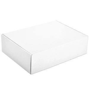 Cardboard Courier boxes 35x25x10