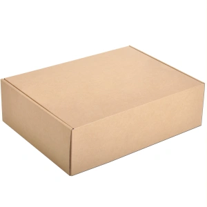 Cardboard Courier boxes 35x30x10.5