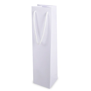 Paper bags with rope handles 10+9/40