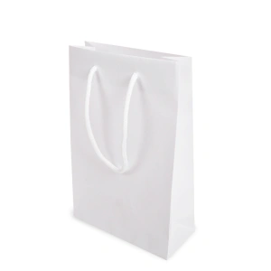 Paper bags with rope handles 16.5+7.2/25